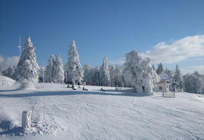 Kricklsaege